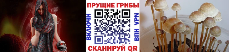 Псилоцибиновые грибы Magic Shrooms  Отрадное 