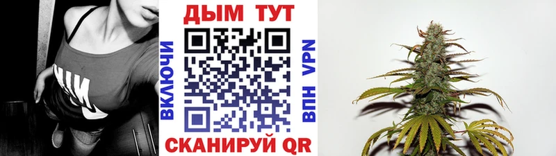 купить   Отрадное  Шишки марихуана план 